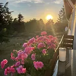 Hotel Berghotel Hohegeiss Hohegeiß