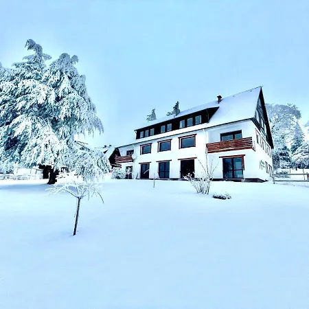Отель Berghotel Hohegeiss 3*