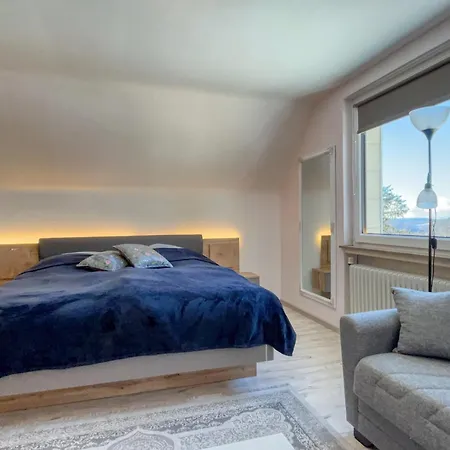 Berghotel Hohegeiss 호텔 3*
