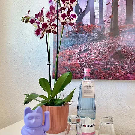 Berghotel Hohegeiß 3*