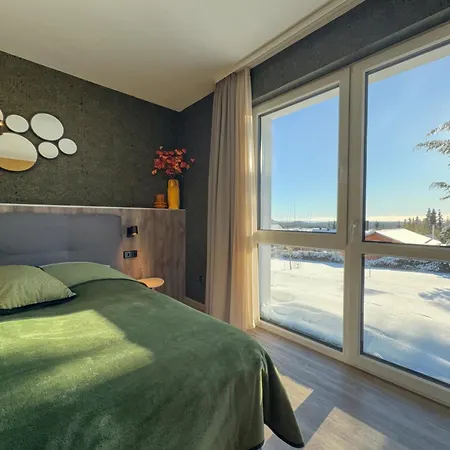 Berghotel Hohegeiss 호텔 3*