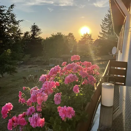 Hotel Berghotel Hohegeiss Hohegeiß