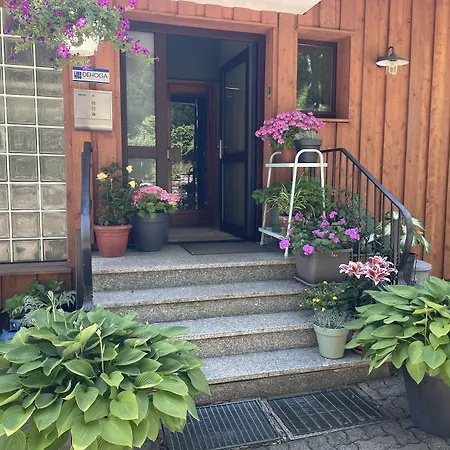 Berghotel Hohegeiss Hotel 3*