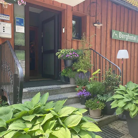 Berghotel Hohegeiß Hotel Hohegeiß