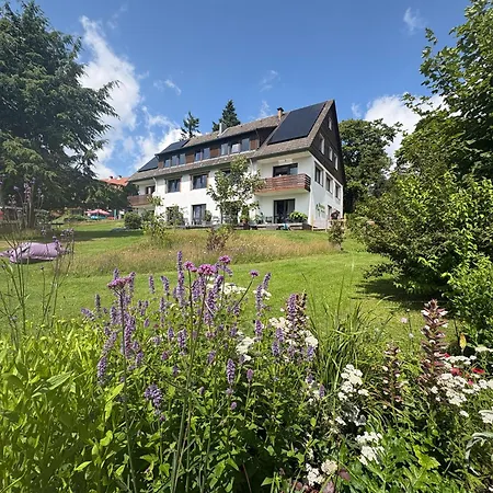 Berghotel Hohegeiss 3* Hohegeiß