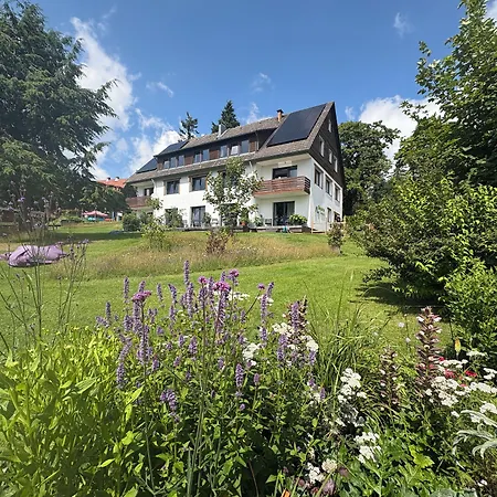 Hotel Berghotel Hohegeiss Hohegeiß